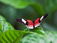 PICT8365-01