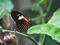 PICT8369-01