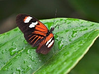 PICT8372-01