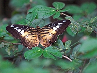 PICT8402-01