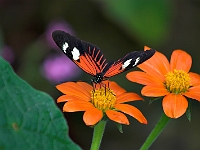PICT8412-01