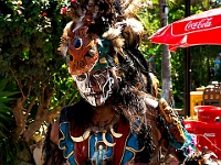 DSC04190B5