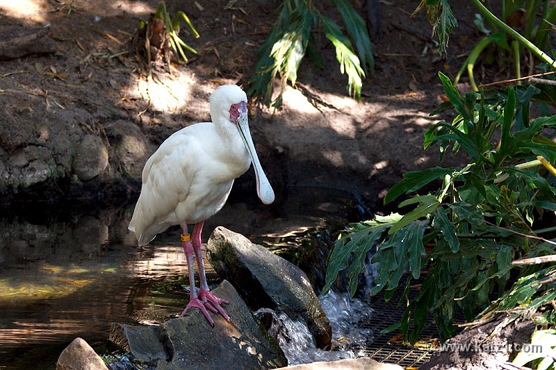 DSC03622B5