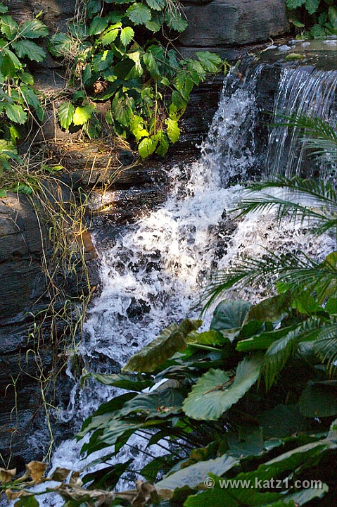 DSC03854B5
