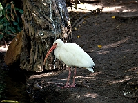 DSC03623B5