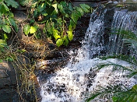 DSC03854B5