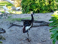 DSC03902B5