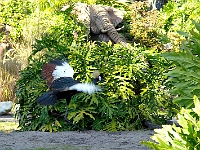 DSC03909B5