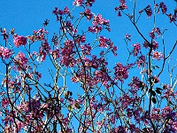 DSC03914B5