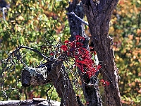 PICT5293-01
