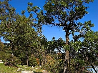 PICT5324-01