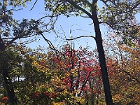 PICT5336-01