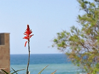DSC00208J