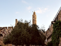 DSC00295