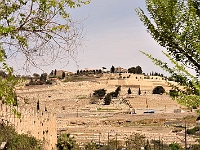 DSC00550