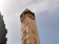 DSC00706
