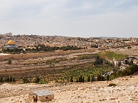 DSC00856