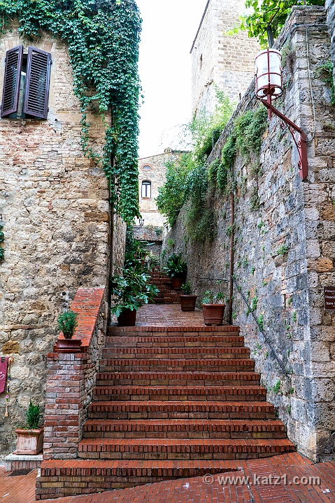  DSC6018-1