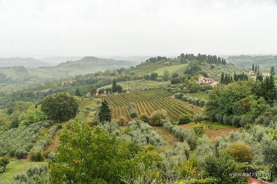  DSC6053-1