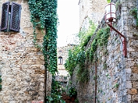 DSC6018-1