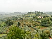 DSC6053-1
