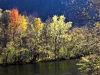 PICT1082-01