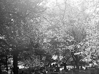DSC02375