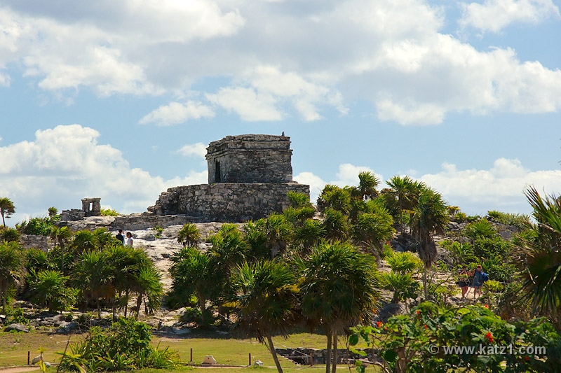 DSC04225B5