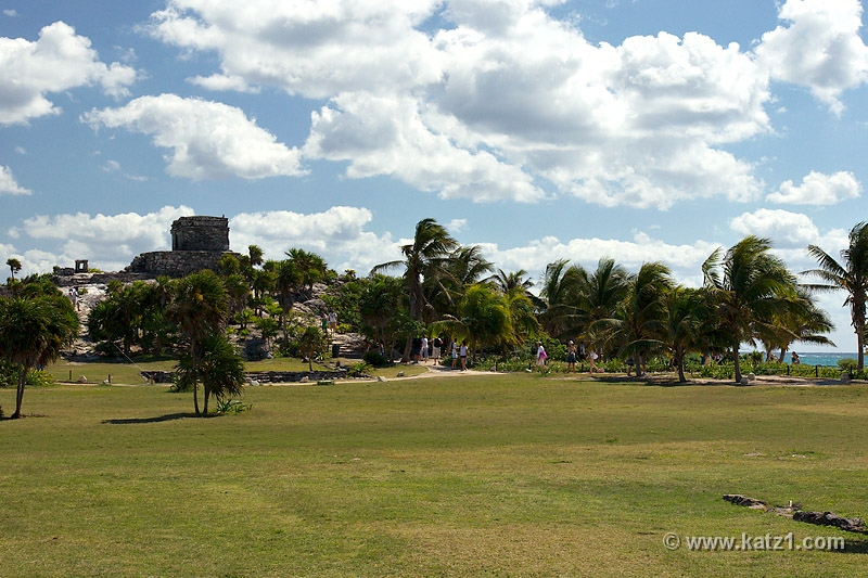 DSC04238B5