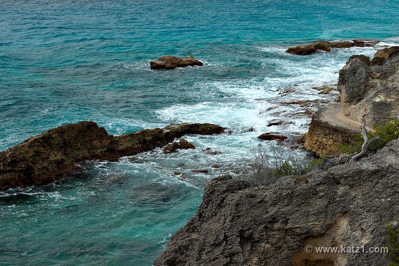 DSC04767B5