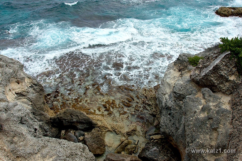 DSC04773B5