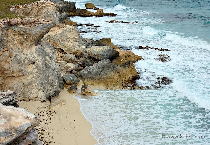 DSC04820B5