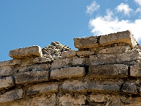 DSC04217B5