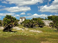 DSC04242B5