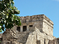 DSC04343B5
