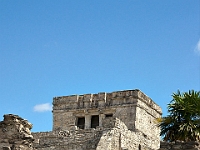 DSC04349B5