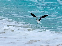 DSC04560B5