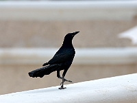 DSC04580B5
