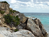 DSC04753B5