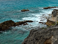 DSC04767B5