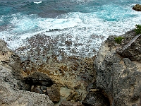 DSC04773B5