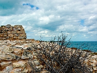 DSC04778B5