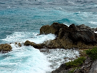 DSC04789B5