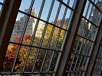 DSC02518