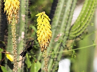 PICT6323-01