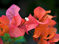 PICT6421-01