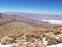 DSC3435