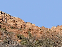 DSC1516