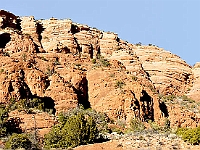 DSC1534