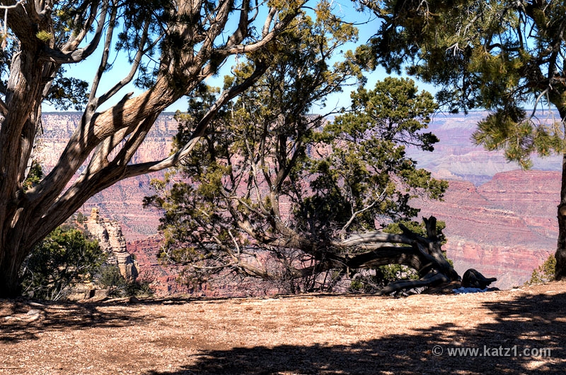  DSC1391 2 3HDR-1